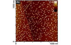 Graphene nanoflakes: A new tool for precision medicine Graphene nanoflakes A new tool for precision medicine