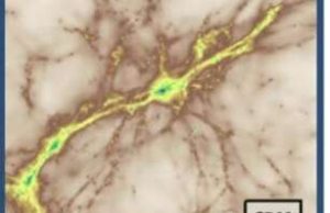 Looking for warm dark matter Looking for warm dark matter