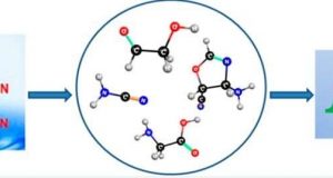 New insights into the origin of life