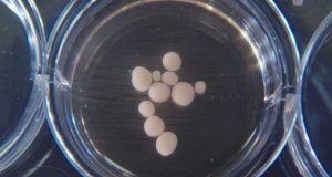 brainwavesde