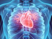 cropped 3D printing the human heart