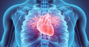 cropped 3D printing the human heart