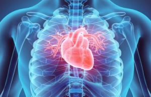 3D printing the human heart cropped 3D printing the human heart