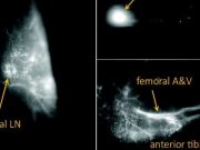 cropped A single photon source you can make with household bleach