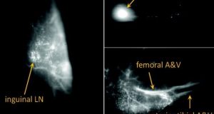 cropped A single photon source you can make with household bleach