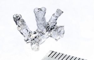 Bioprinting complex living tissue in just a few seconds cropped Bioprinting complex living tissue in just a few seconds