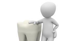 cropped Common origin identified could bring tooth regeneration potential closer