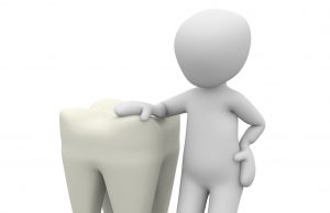 Common origin identified could bring tooth regeneration potential closer cropped Common origin identified could bring tooth regeneration potential closer