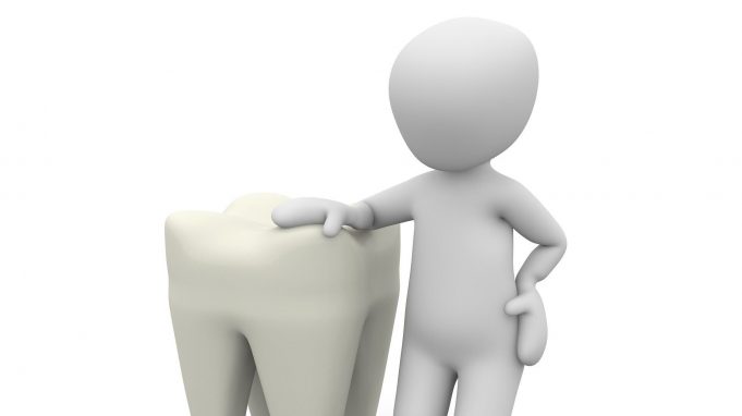 Common origin identified could bring tooth regeneration potential closer cropped Common origin identified could bring tooth regeneration potential closer