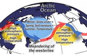 Deep snow cover in the Arctic region intensifies heat waves in Eurasia cropped Deep snow cover in the Arctic region intensifies heat waves in Eurasia