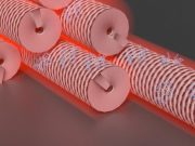 cropped Dyes and viruses create new composite material for photo oxidation reactions