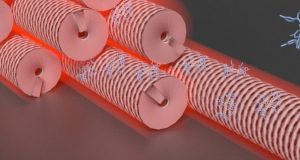 cropped Dyes and viruses create new composite material for photo oxidation reactions