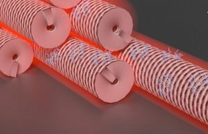 Dyes and viruses create new composite material for photo-oxidation reactions cropped Dyes and viruses create new composite material for photo oxidation reactions