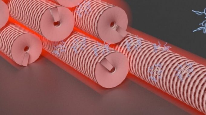 Dyes and viruses create new composite material for photo-oxidation reactions cropped Dyes and viruses create new composite material for photo oxidation reactions