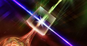 cropped Entanglement sent over 50 km of optical fiber