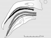 cropped Filter feeding pterosaurs were the flamingos of the Late Jurassic