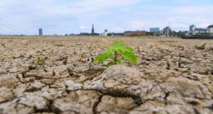 cropped Heatwaves longer more deadly even in a 2C world