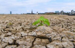Heatwaves longer, more deadly even in a 2C world cropped Heatwaves longer more deadly even in a 2C world