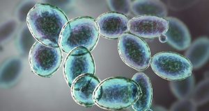 cropped How microbes generate and use their energy to grow