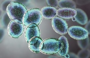 How microbes generate and use their energy to grow cropped How microbes generate and use their energy to grow