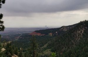 Indigenous knowledge offers new approach to help forests adapt to new conditions cropped Indigenous knowledge offers new approach to help forests adapt to new conditions