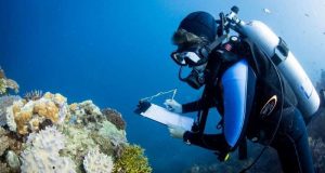 cropped Largest ever study of coral communities unlocks global solution to save reefs