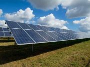 cropped Nanowire arrays could improve solar cells