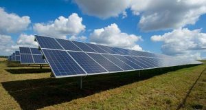 cropped Nanowire arrays could improve solar cells