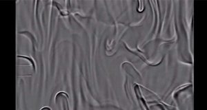 cropped New approach could make HVAC heat exchangers five times more efficient