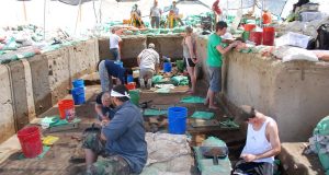 cropped New artifacts suggest people arrived in North America earlier than previously thought