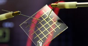 cropped Nylon as a building block for transparent electronic devices