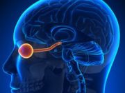 cropped Optic nerve stimulation to aid the blind