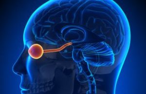 Optic nerve stimulation to aid the blind cropped Optic nerve stimulation to aid the blind