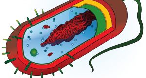 cropped Optofluidic chip with nanopore smart gate developed for single molecule analysis