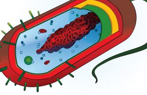Optofluidic chip with nanopore ‘smart gate’ developed for single molecule analysis cropped Optofluidic chip with nanopore smart gate developed for single molecule analysis