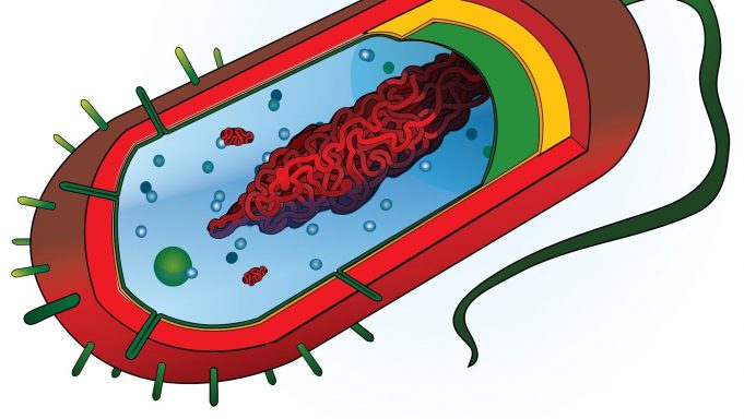 Optofluidic chip with nanopore ‘smart gate’ developed for single molecule analysis cropped Optofluidic chip with nanopore smart gate developed for single molecule analysis
