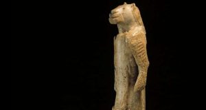 cropped Recursive language and modern imagination were acquired simultaneously 70000 years ago
