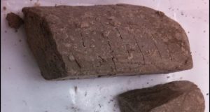 cropped Researchers study largest impact crater in the US buried for 35 million years