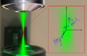 Researchers use new tools of data science to capture single molecules in action cropped Researchers use new tools of data science to capture single molecules in action
