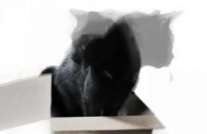 Schrödinger’s cat with 20 qubits cropped Schrödingers cat with 20 qubits