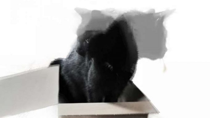 Schrödinger’s cat with 20 qubits cropped Schrödingers cat with 20 qubits