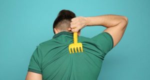 cropped Scratching the surface of how your brain senses an itch