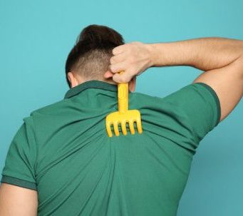 cropped Scratching the surface of how your brain senses an itch