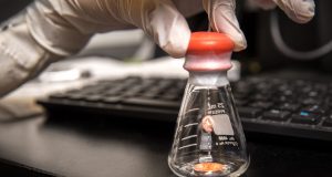 cropped Study identifies main culprit behind lithium metal battery failure