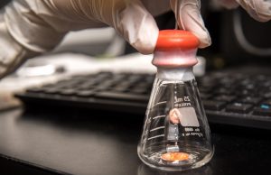 Study identifies main culprit behind lithium metal battery failure cropped Study identifies main culprit behind lithium metal battery failure