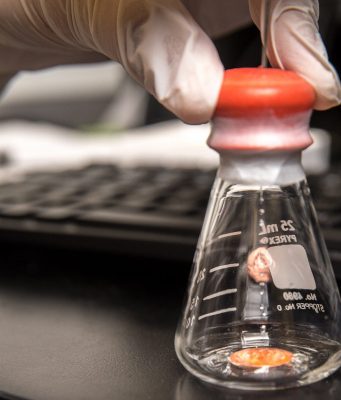 Study identifies main culprit behind lithium metal battery failure cropped Study identifies main culprit behind lithium metal battery failure