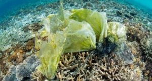 cropped Study shows human impacts on oceans nearly doubled in recent decade could double again without adequate action