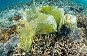 Study shows human impacts on oceans nearly doubled in recent decade, could double again without adequate action cropped Study shows human impacts on oceans nearly doubled in recent decade could double again without adequate action