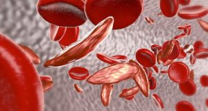cropped Targeting a blood stem cell subset shows lasting therapeutically relevant gene editing