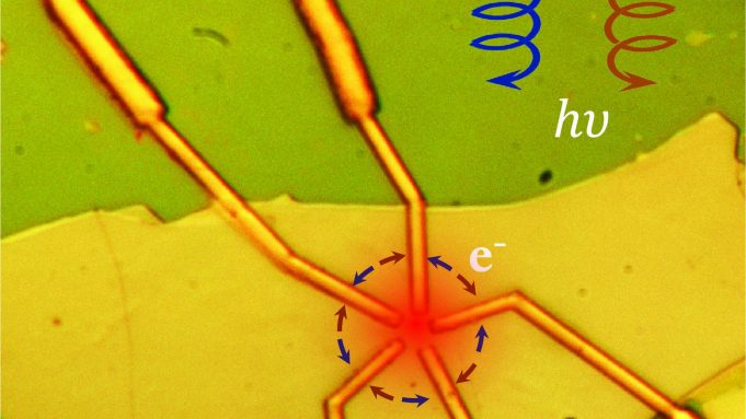 Unique electrical properties in quantum materials can be controlled using light cropped Unique electrical properties in quantum materials can be controlled using light